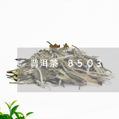 普洱茶 8503/2023031780838